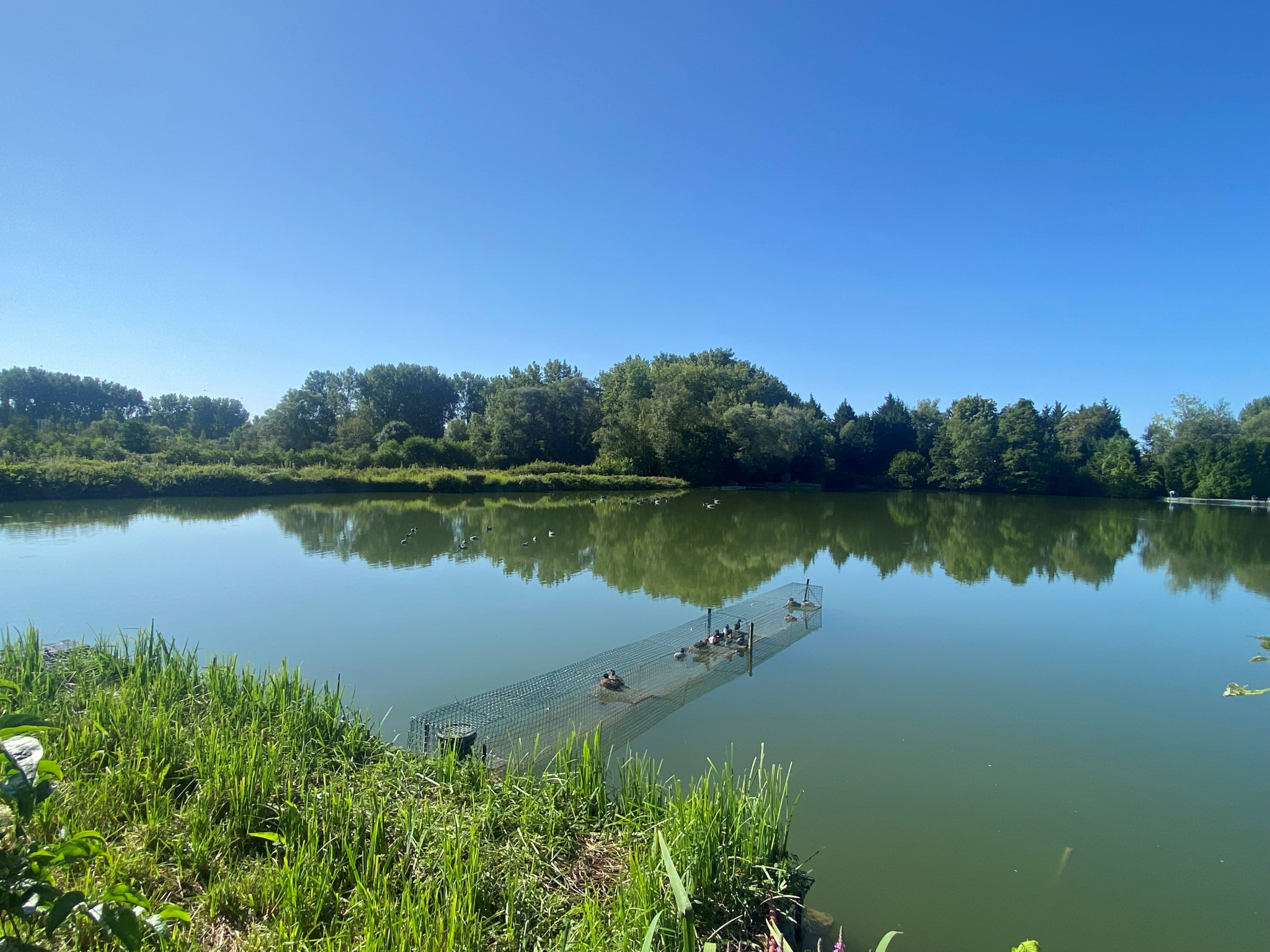 Immo80 – L'immobilier à Amiens et dans la Somme-Terrain de pêche et chasse hutte aux portes d’Amiens.