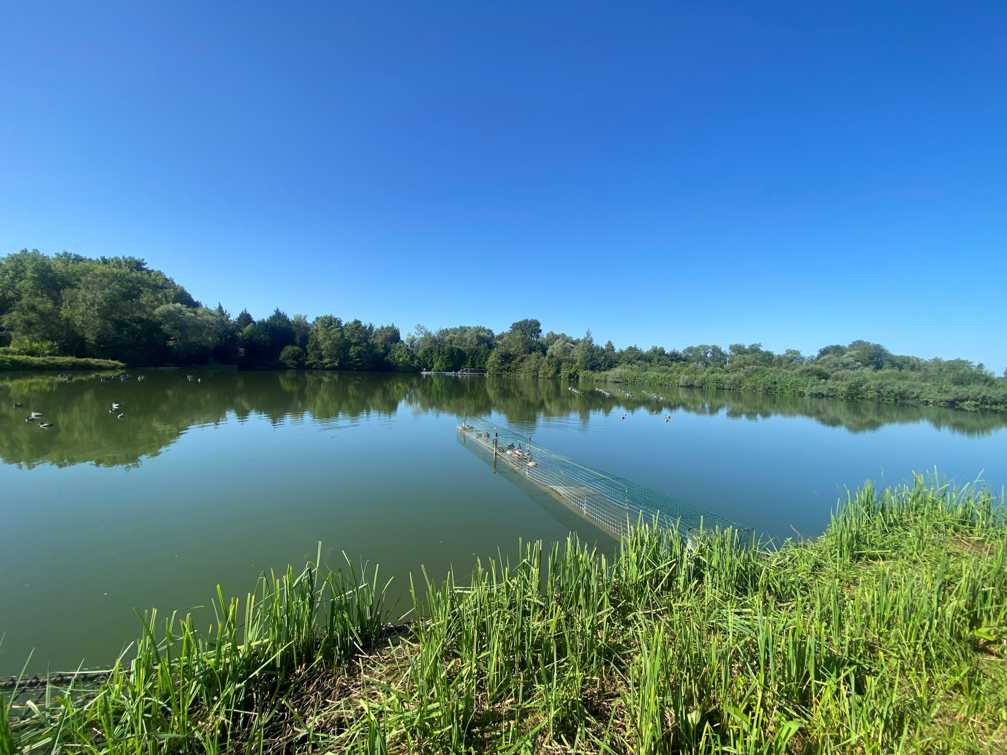 Immo80 – L'immobilier à Amiens et dans la Somme-Terrain de pêche et chasse hutte aux portes d’Amiens.