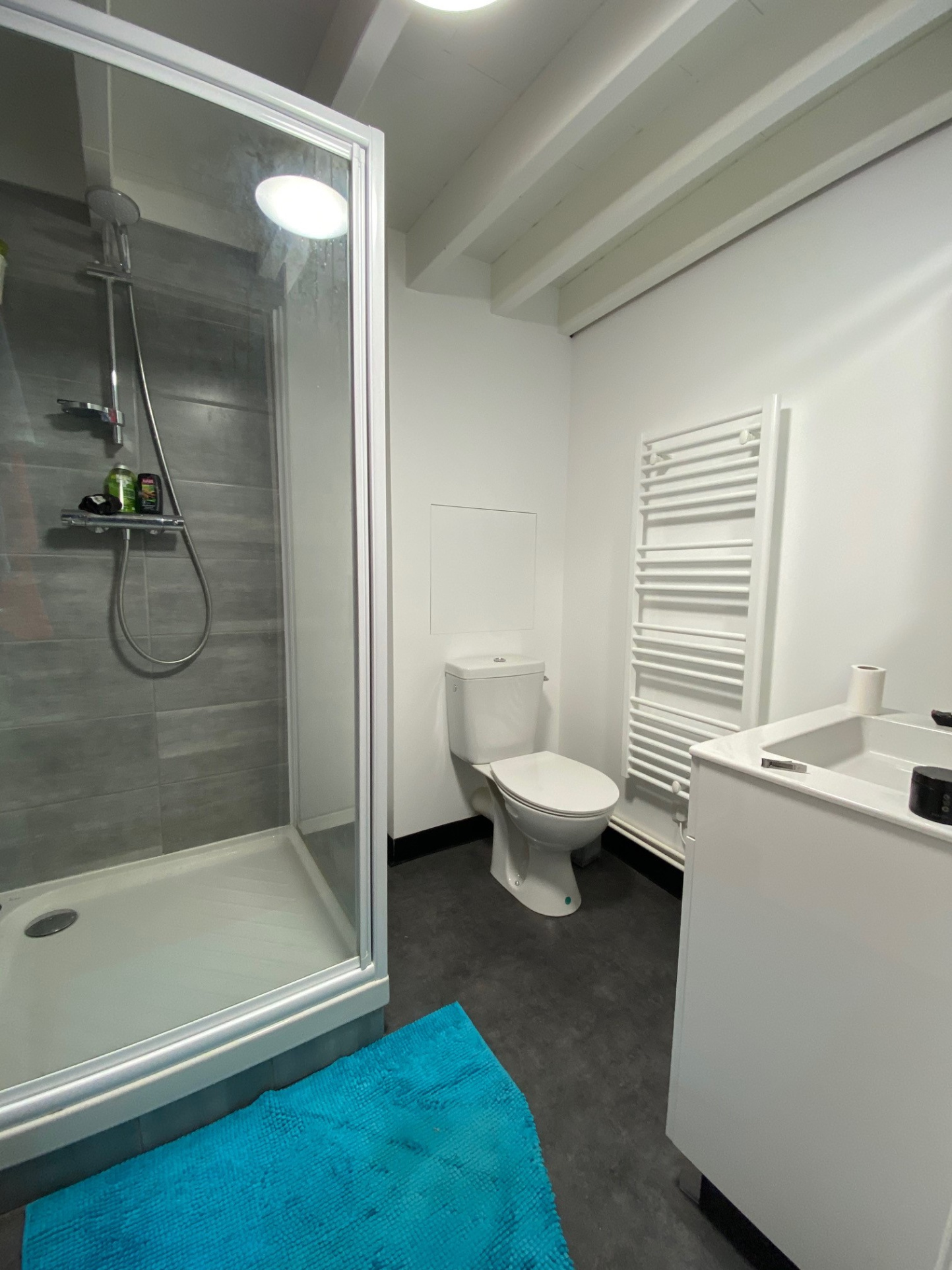 Immo80 – L'immobilier à Amiens et dans la Somme-37 rue Voiture – duplex 3ème étage